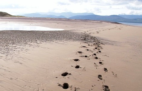 Dios jamás nos abandona