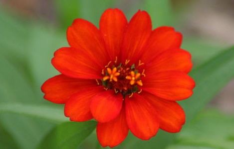 Saber perdonar (Foto Morguefile)