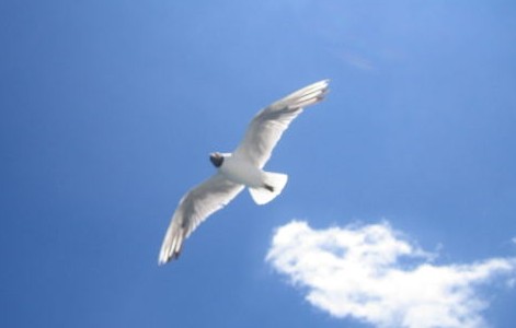 Dios es todo en nuestra vida