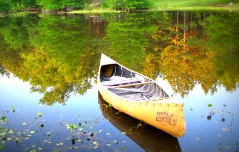 Dios siempre llega a tiempo