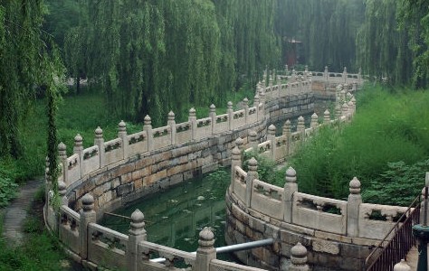 El poder de elección