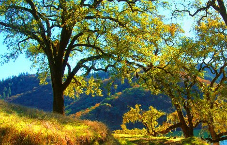 Por siempre y para siempre