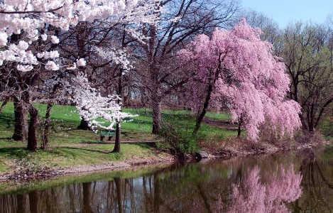 Lo que significa la gracia de Dios