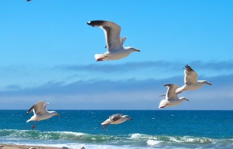 Los planes de Dios son perfectos