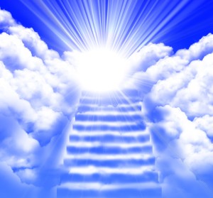 ???????????????????????