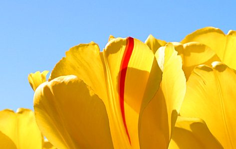 Dios quiere hacer algo en tu vida