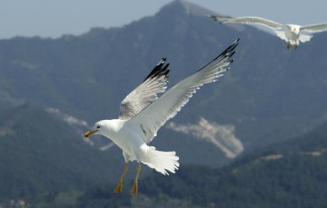 La transformación a través del Espíritu Santo