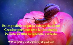 La gloria de Dios (foto Sara Klockars)