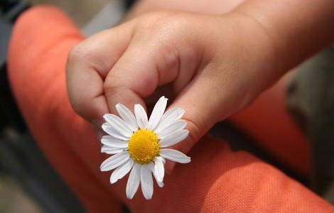 ¿La Gracia anula la Ley?