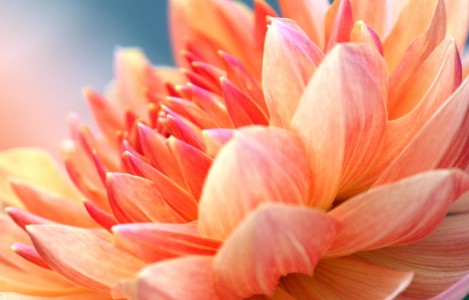 El propósito de la Ley de Dios