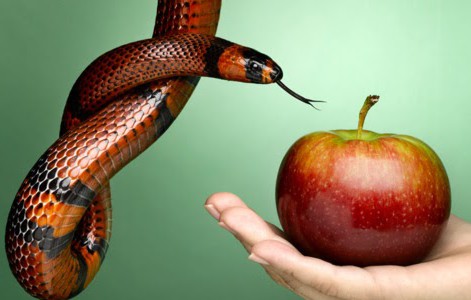 Los enemigos de Dios