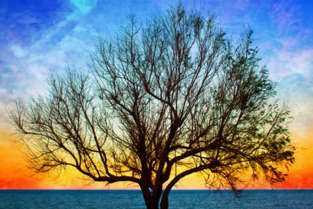 El principio de la siembra y la cosecha (Foto Foter)