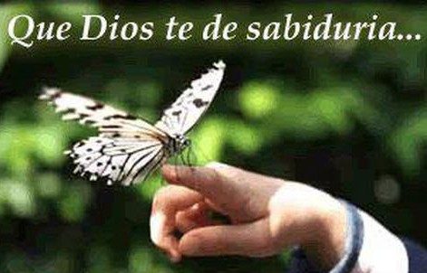 Beneficios de la sabiduría de Dios