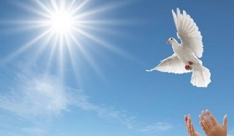La paz de Cristo
