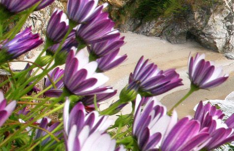 Requisitos para ser salvo