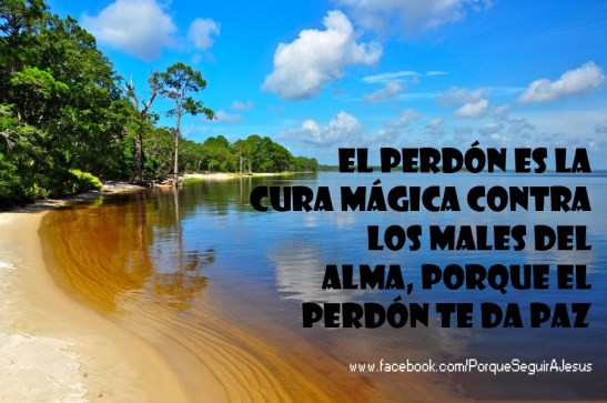 El perdón sana.