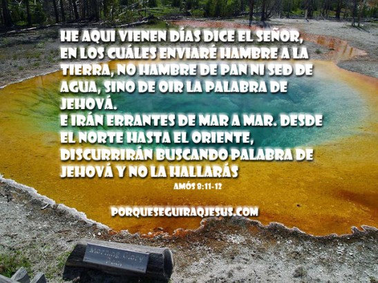 bellisima (Fotoblog) copy