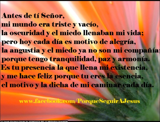 Porque sin tí nada soy.