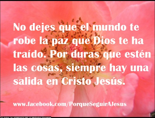 Es la paz de Cristo.