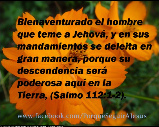 La obediencia trae bendición.