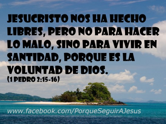 Somos libres pero no para seguir pecando, sino para hacer el bien.