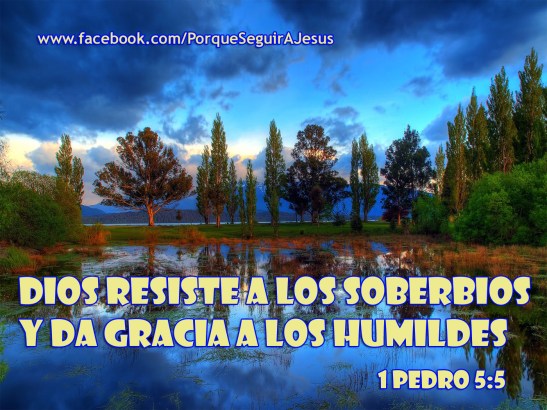 Dios ama el corazón humilde.