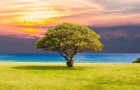 Los beneficios de agradar a Dios