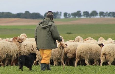 El castigo de los pastores que no predican la verdad