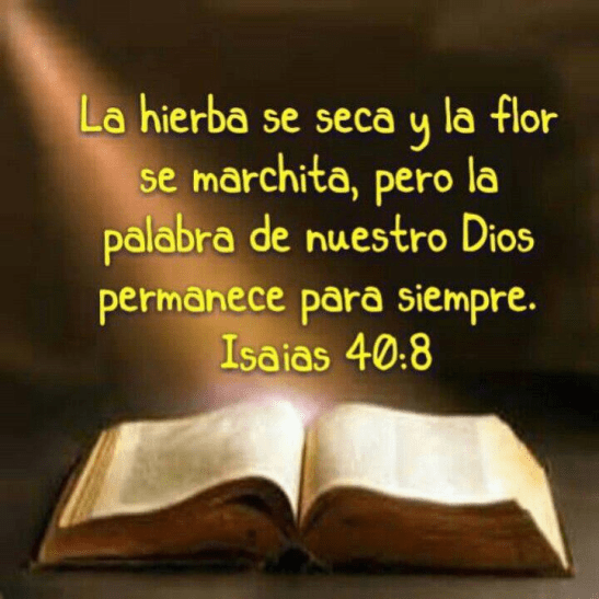 "Lámpara es a mis pies tu palabra, y lumbrera a mi camino", Salmo 119:105