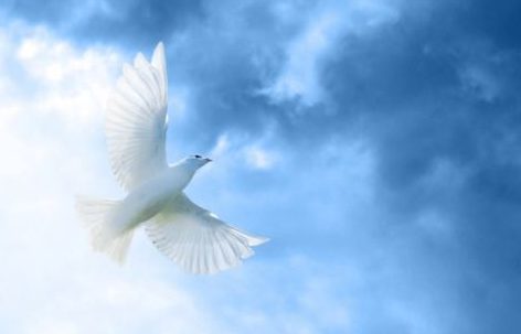 Cuál es la obra del Espíritu Santo en nosotros