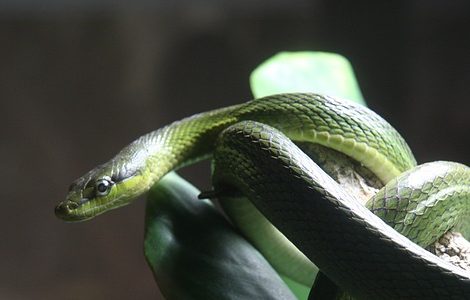 El pecado nos robará la eternidad