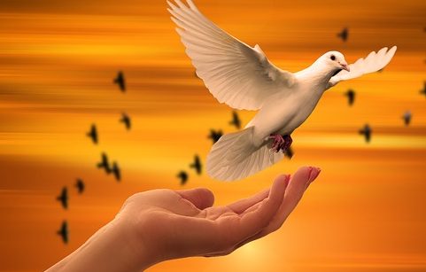 Fuimos comprados por la Sangre de Cristo