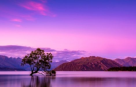 Fue la Ley clavada en la Cruz