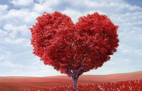 El último llamado de misericordia de Dios