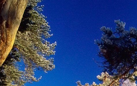 Vivir para la Gloria de Dios