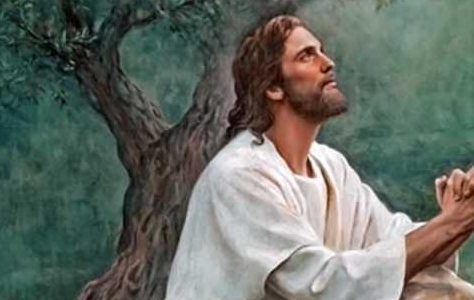 Por qué Cristo nunca pecó