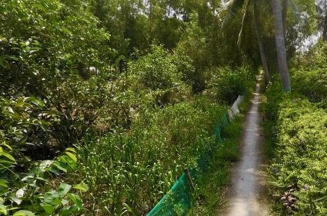 Cómo Encontrar el Camino Angosto que Lleva a la Eternidad