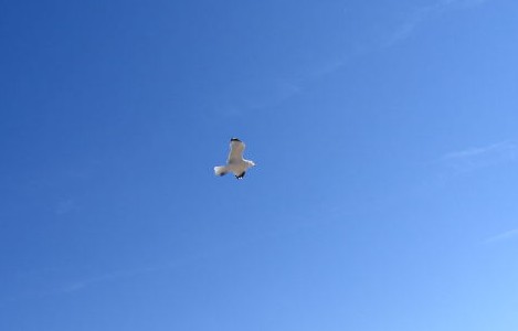 Qué Hacer Para que Dios Me Escuche