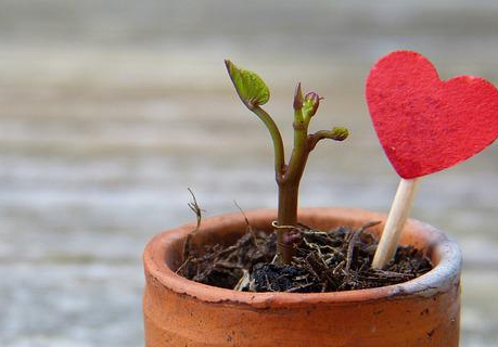 La Promesa de un Corazón Nuevo