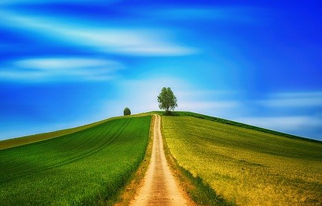 Cuál Es El Precio de la Vida Eterna