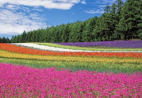 Testimonios de la Grandeza de Dios