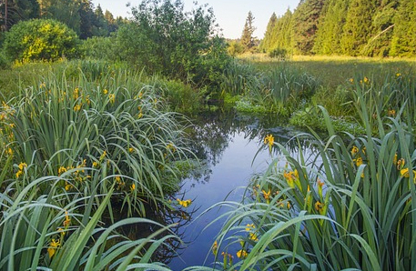 Para Quién Es La Misericordia de Dios