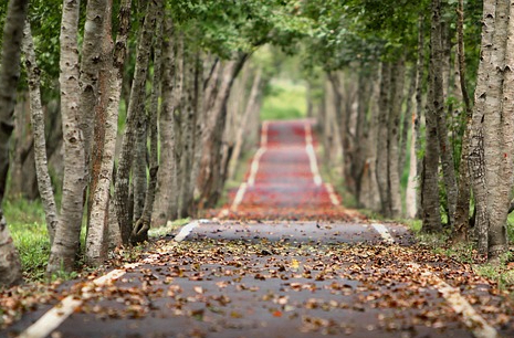 Cómo Permanecer Firme en los Caminos de Dios