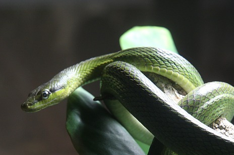 Cómo Nos Tienta Satanás