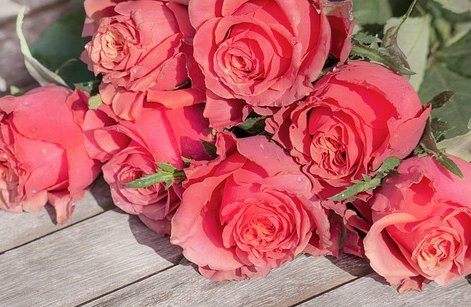 El Misterio de la Piedad