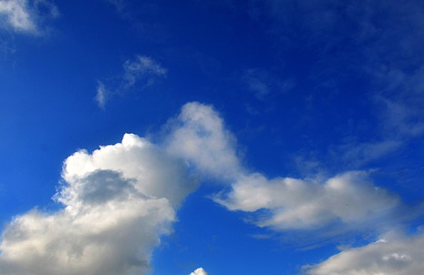 Cuál Es el Fruto de la Salvación