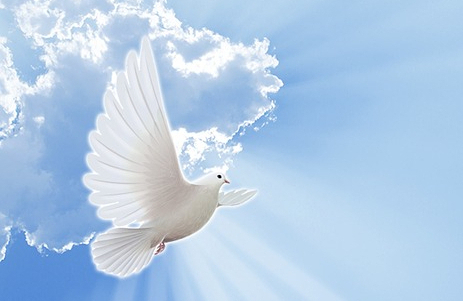 Quién Es el Consolador de los Cristianos