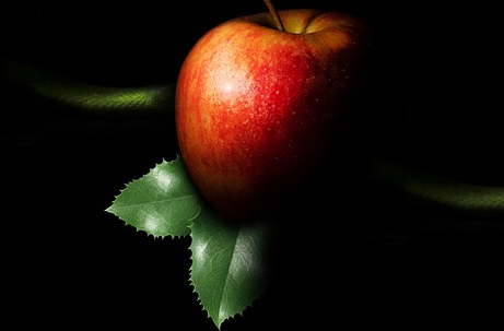 Lo Que Perdimos por el Pecado