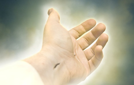 La Humildad Que Nos Exige Dios