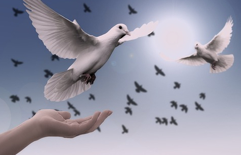 Cómo Vencer el Temor para Siempre